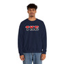 Tau Kappa Epsilon Two Toned Greek Lettered Crewneck Sweatshirts