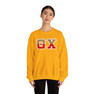 Theta Chi Two Toned Greek Lettered Crewneck Sweatshirts