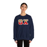 Theta Chi Two Toned Greek Lettered Crewneck Sweatshirts