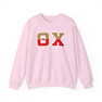 Theta Chi Two Toned Greek Lettered Crewneck Sweatshirts