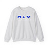 Theta Delta Chi Two Toned Greek Lettered Crewneck Sweatshirts