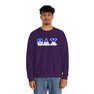 Theta Delta Chi Two Toned Greek Lettered Crewneck Sweatshirts