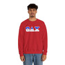 Theta Delta Chi Two Toned Greek Lettered Crewneck Sweatshirts