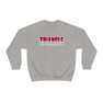 Triangle Two Toned Greek Lettered Crewneck Sweatshirts