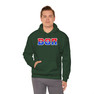 Beta Theta Pi Two Toned Greek Lettered Hooded Sweatshirts