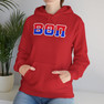 Beta Theta Pi Two Toned Greek Lettered Hooded Sweatshirts