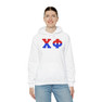 Chi Phi Two Toned Greek Lettered Hooded Sweatshirts