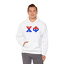 Chi Phi Two Toned Greek Lettered Hooded Sweatshirts