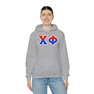 Chi Phi Two Toned Greek Lettered Hooded Sweatshirts