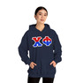 Chi Phi Two Toned Greek Lettered Hooded Sweatshirts