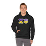 Chi Psi Two Toned Greek Lettered Hooded Sweatshirts