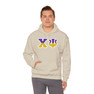 Chi Psi Two Toned Greek Lettered Hooded Sweatshirts