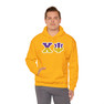 Chi Psi Two Toned Greek Lettered Hooded Sweatshirts