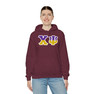 Chi Psi Two Toned Greek Lettered Hooded Sweatshirts