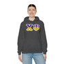 Chi Psi Two Toned Greek Lettered Hooded Sweatshirts