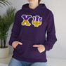 Chi Psi Two Toned Greek Lettered Hooded Sweatshirts