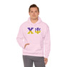 Chi Psi Two Toned Greek Lettered Hooded Sweatshirts