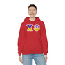 Chi Psi Two Toned Greek Lettered Hooded Sweatshirts