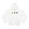 Delta Sigma Pi Two Toned Greek Lettered Hooded Sweatshirts