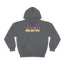 Delta Sigma Pi Two Toned Greek Lettered Hooded Sweatshirts