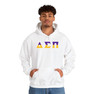 Delta Sigma Pi Two Toned Greek Lettered Hooded Sweatshirts