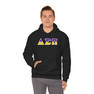 Delta Sigma Pi Two Toned Greek Lettered Hooded Sweatshirts