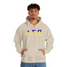 Delta Sigma Pi Two Toned Greek Lettered Hooded Sweatshirts
