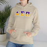 Delta Sigma Pi Two Toned Greek Lettered Hooded Sweatshirts