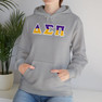 Delta Sigma Pi Two Toned Greek Lettered Hooded Sweatshirts