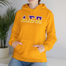 Delta Sigma Pi Two Toned Greek Lettered Hooded Sweatshirts