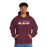 Delta Sigma Pi Two Toned Greek Lettered Hooded Sweatshirts
