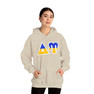 Delta Upsilon Two Toned Greek Lettered Hooded Sweatshirts