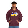 Delta Upsilon Two Toned Greek Lettered Hooded Sweatshirts