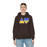 Delta Upsilon Two Toned Greek Lettered Hooded Sweatshirts