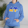 Delta Upsilon Two Toned Greek Lettered Hooded Sweatshirts