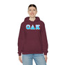 Omicron Delta Kappa Two Toned Greek Lettered Hooded Sweatshirts