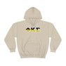 Phi Kappa Sigma Two Toned Greek Lettered Hooded Sweatshirts