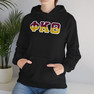 Phi Kappa Theta Two Toned Greek Lettered Hooded Sweatshirts