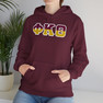 Phi Kappa Theta Two Toned Greek Lettered Hooded Sweatshirts