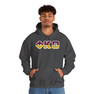 Phi Kappa Theta Two Toned Greek Lettered Hooded Sweatshirts