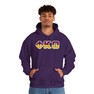 Phi Kappa Theta Two Toned Greek Lettered Hooded Sweatshirts