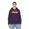 Phi Kappa Theta Two Toned Greek Lettered Hooded Sweatshirts