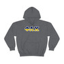 Phi Lambda Chi Two Toned Greek Lettered Hooded Sweatshirts