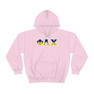 Phi Lambda Chi Two Toned Greek Lettered Hooded Sweatshirts