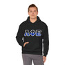 Phi Sigma Phi Two Toned Greek Lettered Hooded Sweatshirts