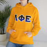 Phi Sigma Phi Two Toned Greek Lettered Hooded Sweatshirts