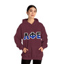 Phi Sigma Phi Two Toned Greek Lettered Hooded Sweatshirts