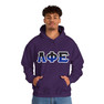 Phi Sigma Phi Two Toned Greek Lettered Hooded Sweatshirts