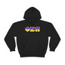 Phi Sigma Pi Two Toned Greek Lettered Hooded Sweatshirts