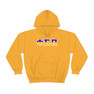 Phi Sigma Pi Two Toned Greek Lettered Hooded Sweatshirts